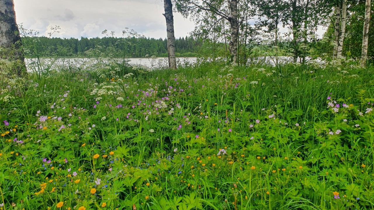 Viihtyisae Kolmio Jaerven Rannalla Haapavesi Exteriör bild
